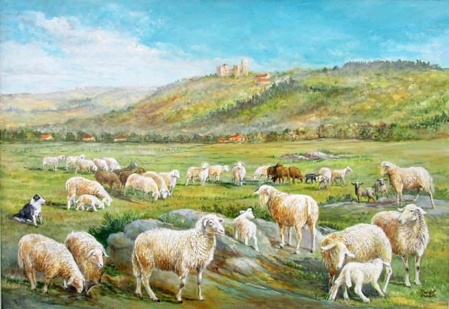 Galerie
